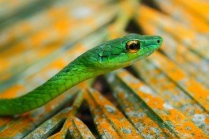 (Photo by James Adams)